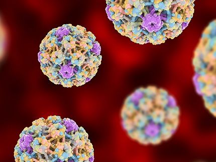 HPV
